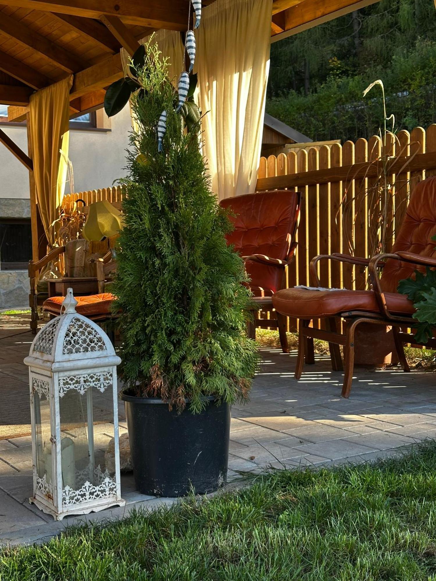Gosciniec Stara Szkola Haluszowa Exterior foto